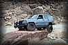 coyotec048.jpg