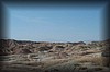 jambo_0015.jpg